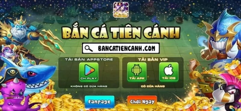 giao diện sống động