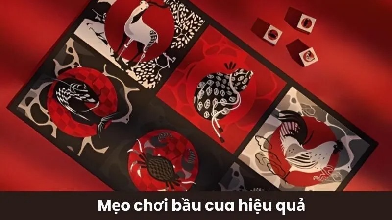 lưu ý khi chơi tại betvisa