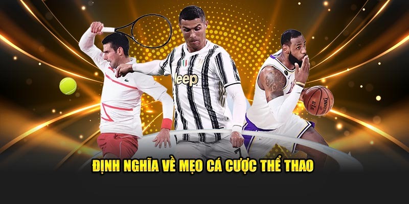 cá cược thể thao betvisa